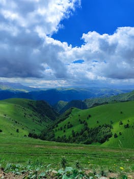 中亚医药新机遇;乌兹别克斯坦开启政策红利窗口;中国药企布局正当时。 IT技术