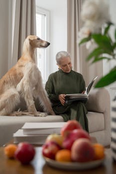 养老服务消费补贴全面推进；中度以上失能老人申领便利；政策惠及全国范围。
