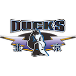  曾经的青春归来！赵睿重回广东引发的赛场情感共鸣 情感心理