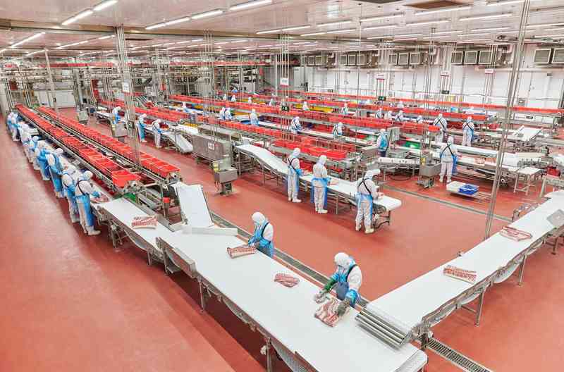  双汇发展：在波动中寻找确定性，肉类巨头的盈利复苏之路 股票财经