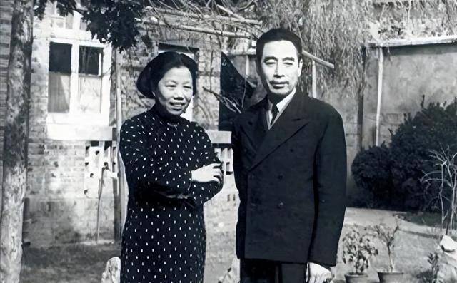  深层剖析：关于“养子”传闻的真相与革命情感的边界 文化旅游