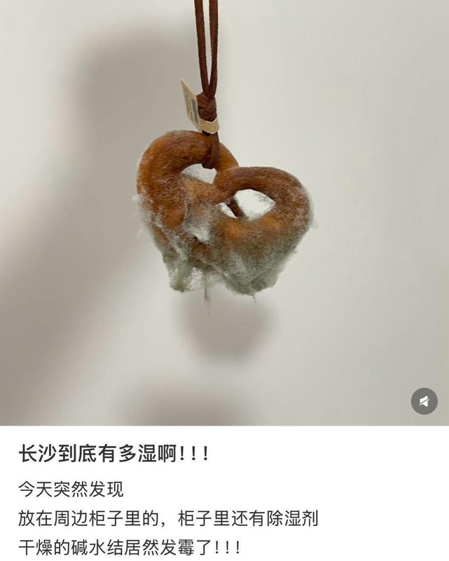 技术解读:潮湿环境中霉菌孢子致病机制与家庭级防护体系构建 健康养生