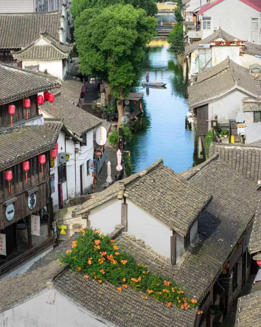  从古镇茶室到国际舞台：一项乡村文化IP的的技术演进路径 文化旅游