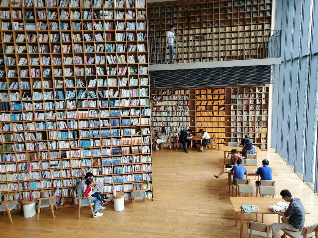  从「活人感」到注意力管理：2025年我的认知升级路径 文化旅游