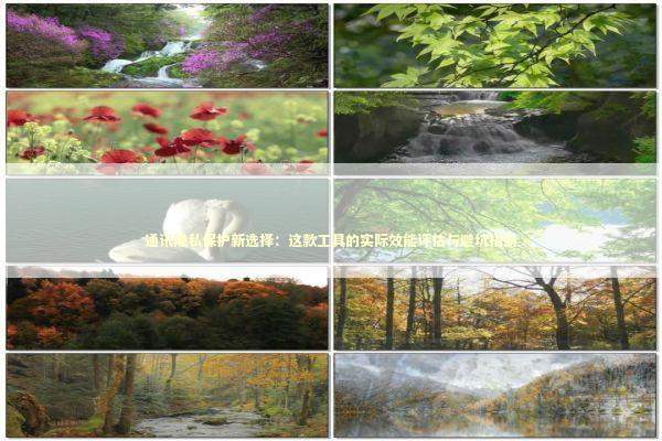 通讯隐私保护新选择：这款工具的实际效能评估与避坑指南