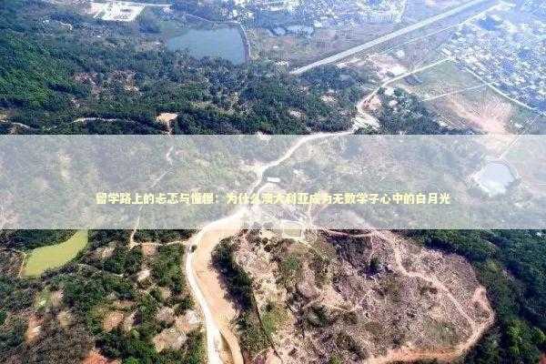 留学路上的忐忑与憧憬：为什么澳大利亚成为无数学子心中的白月光