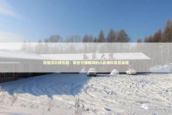 张姐深扒娱乐圈：那些引爆眼球的八卦爆料背后真相 娱乐新闻